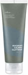 Mugwort Calming Clay Mask 100mL
